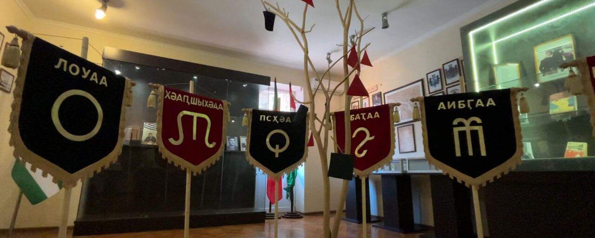 Экспозиция Родовое дерево, посвященная жертвам Кавказской войны, открылась в музее истории зарубежных абхазов имени Омара Бейгуаа в Сухуме - Sputnik Абхазия, 1920, 21.05.2025