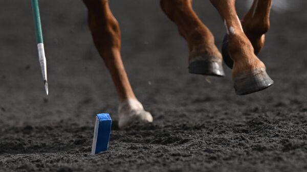 Игры БРИКС. Конный спорт. Тентпеггинг - Sputnik Абхазия