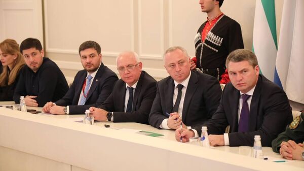 Бадра Гунба провёл встречу с абхазской диаспорой в Санкт-Петербурге - Sputnik Аҧсны