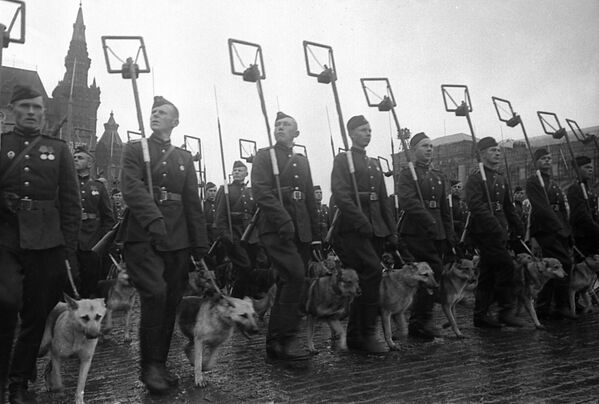 Саперы с собаками минно-розыскной службы проходят по Красной площади во время Парада Победы. - Sputnik Абхазия