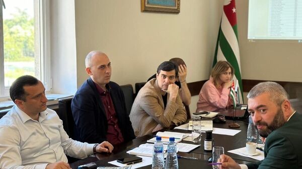 Цифровизацию экскурсионных путевок в Абхазию обсудили главы Минтуризма и Министерства по налогам и сборам Астамур Логуа и Эдгар Бения - Sputnik Абхазия