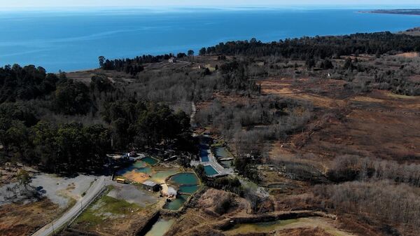 Кындыгский сероводородный источник - Sputnik Абхазия