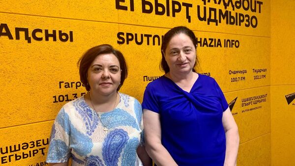 В ЦСЭИ обсудили перспективы постсоветской Абхазии и вызовы безопасности - Sputnik Абхазия