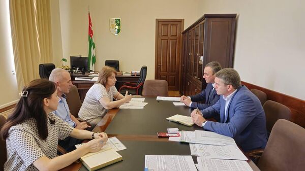 Встреча премьер-министра Владимир Делба с председателем Госкомитета по статистике Каме Гогия  - Sputnik Аҧсны