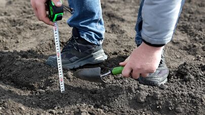 Посевные работы в Краснодарском крае