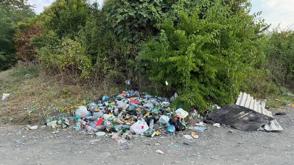 Экологическая акция в рамках проекта по переработке бытовых отходов прошла в Сухуме - Sputnik Абхазия