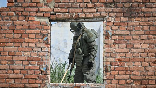 Разминирование окрестностей Селидово в ДНР саперами группировки войск Центр - Sputnik Абхазия