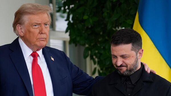 Зеленский прибыл в Белый дом на встречу с президентом США Трампом - Sputnik Абхазия