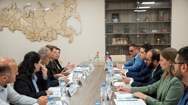 Госкомитет Абхазии по статистике и Росстат подписали план сотрудничества на 2025-2027 годы - Sputnik Аҧсны