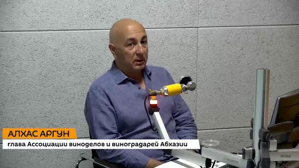 Для развития виноделия в Абхазии нужно выделять хотя бы 100 млн рублей в год, заявил глава Ассоциации виноделов и виноградарей Алхас Аргун - Sputnik Абхазия