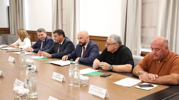 Вице-президент Абхазии Беслан Бигвава провел первое заседание Рабочей группы - Sputnik Абхазия