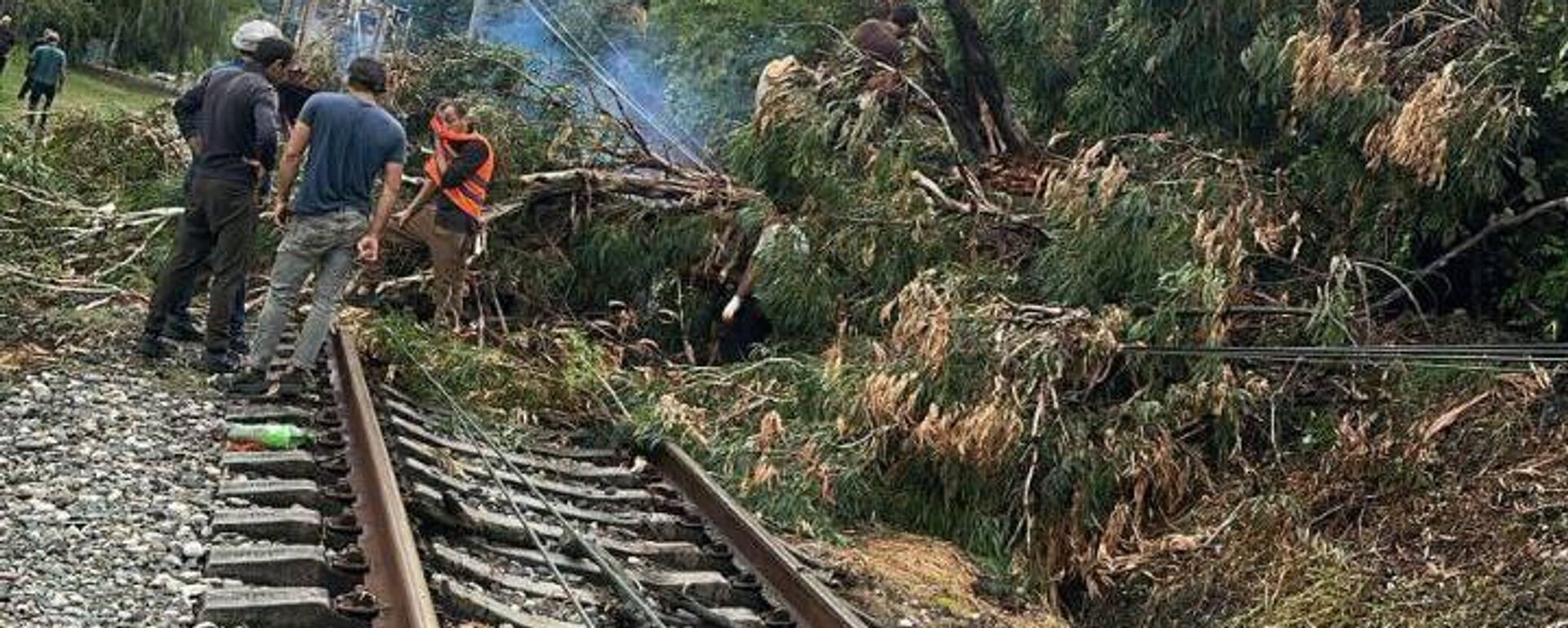 Железнодорожное движение на участке Новый Афон – Сухум временно нарушено из-за упавшего дерева - Sputnik Абхазия, 1920, 07.09.2025