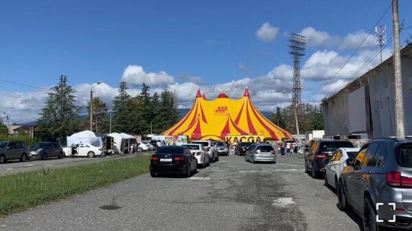 Цирк Созвездие смелых в Абхазии - Sputnik Аҧсны