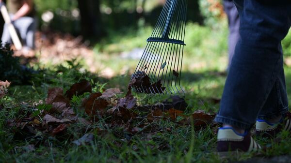 Инвентарь для субботника  - Sputnik Аҧсны