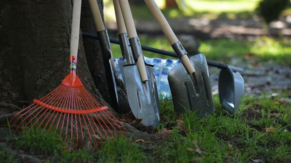 Инвентарь для субботника  - Sputnik Аҧсны