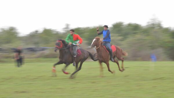 Скачки в селе Мыку 29.09.2025 - Sputnik Абхазия