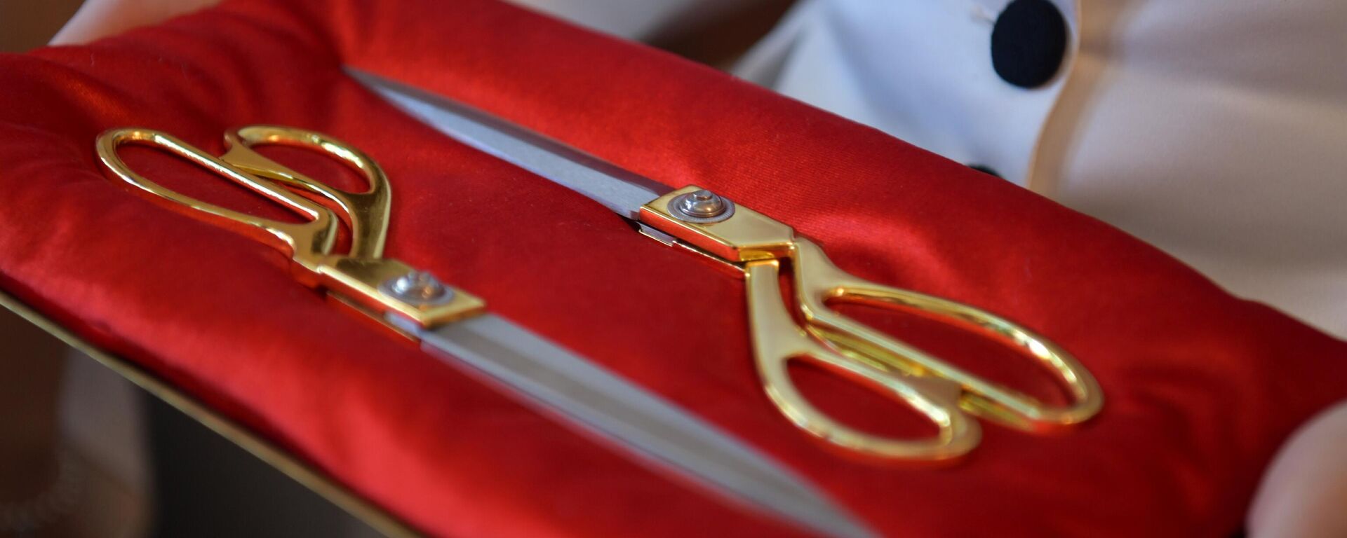 Владимир Делба и Виталий Джения перерезают красную ленту в честь открытия ЦВЗ в Сухуме - Sputnik Абхазия, 1920, 02.03.2026