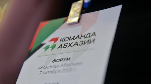 Для развития страны: что предлагали участники форума Команда Абхазии - Sputnik Абхазия
