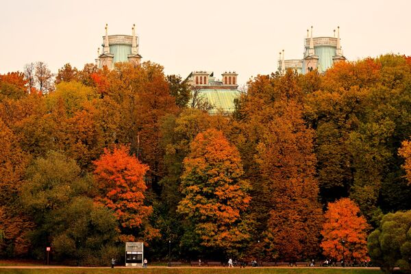 Москва, Россия. Вид на дворцовые сады Царицыно, где золотистая листва покрывает землю, когда осень достигает своего пика. Москва, Россия. Вид на дворцовые сады Царицыно, где золотистая листва покрывает землю, когда осень достигает своего пика. - Sputnik Абхазия