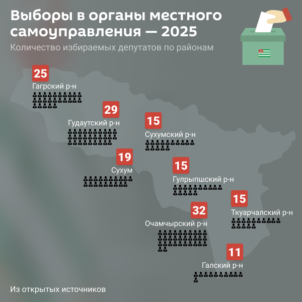 Выборы в органы местного самоуправления в Абхазии - Sputnik Абхазия