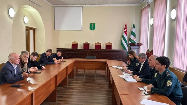 Вопросы экспорта и импорта цитрусовых обсудили в Государственном таможенном комитете Абхазии - Sputnik Абхазия