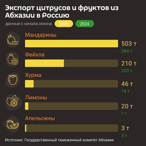 Экспорт цитрусовых и фруктов из Абхазии в Россию с начала сезона - Sputnik Абхазия
