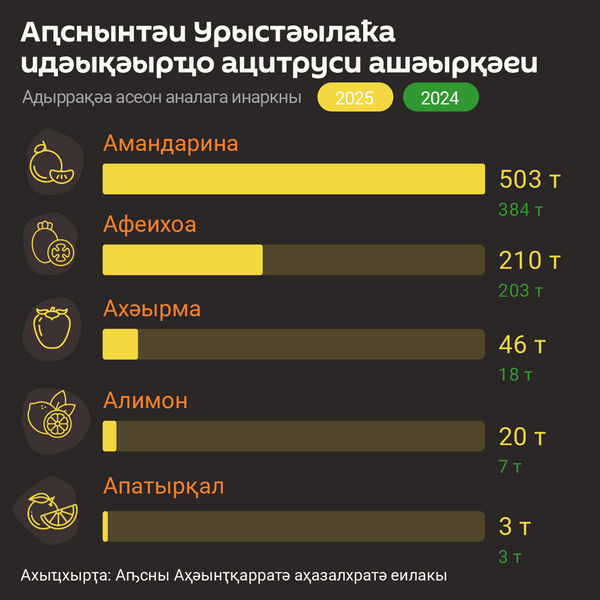 Экспорт цитрусовых и фруктов из Абхазии в Россию с начала сезона - Sputnik Аҧсны