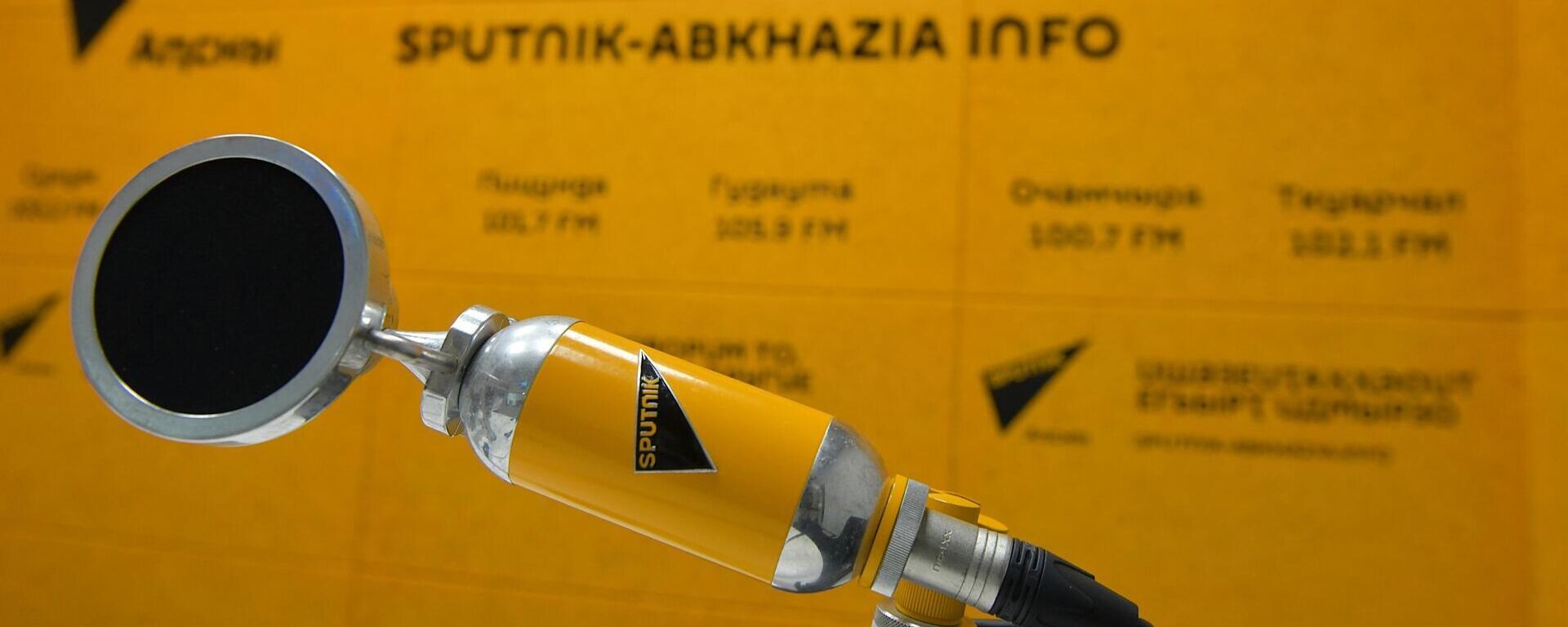 Неразрывные связи: как Абхазия и Россия взаимодействуют в науке - Sputnik Абхазия, 1920, 27.10.2025