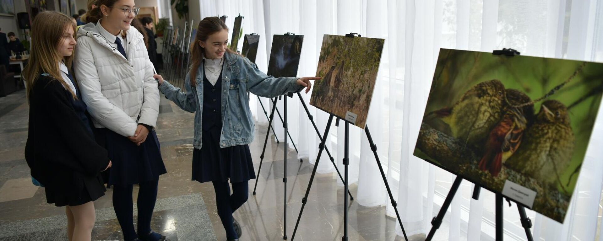 Фестиваль Территория успеха: в объятиях природы Росатома стартовал в Пицунде - Sputnik Абхазия, 1920, 28.10.2025