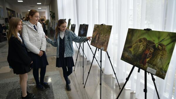 Фестиваль Территория успеха: в объятиях природы Росатома стартовал в Пицунде - Sputnik Абхазия