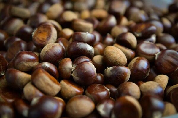 Ҭагалан ҳазнысуа-ҳазҭысуа аамҭацқәа 15 Ҭагалан ҳазнысуа-ҳазҭысуа аамҭацқәа 15 - Sputnik Аҧсны