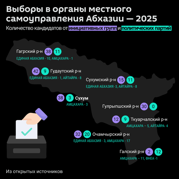 Выборы в органы местного самоуправления 2025 - самовыдвиженцы и члены партий - Sputnik Абхазия
