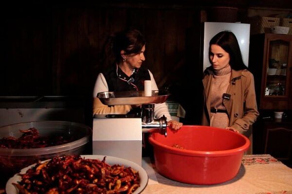 Ҳамидан Гәымԥҳа апроект &quot;Аԥсы ҭоуп ҳара ҳхәышҭаара&quot; аҟнытә - Sputnik Аҧсны