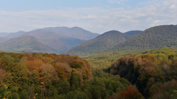 Осенний пейзаж в долине р.Моква - Sputnik Абхазия
