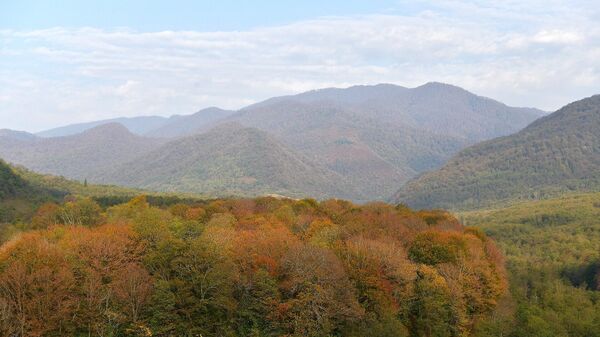 Осенний пейзаж в долине р.Моква - Sputnik Абхазия