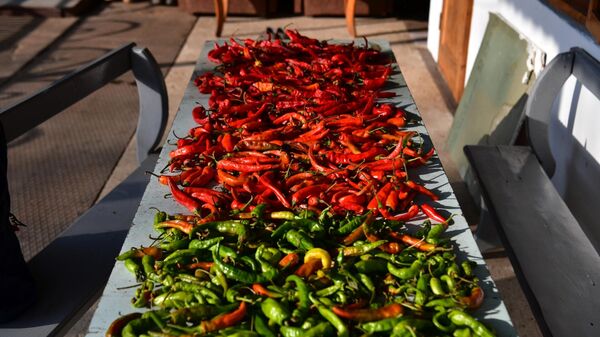 Перец на естественной сушке - Sputnik Абхазия