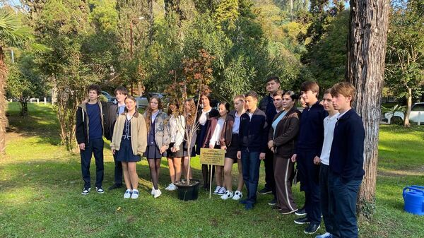 Сухумские школьники заложат Аллею добра в честь Международного дня добра - Sputnik Абхазия