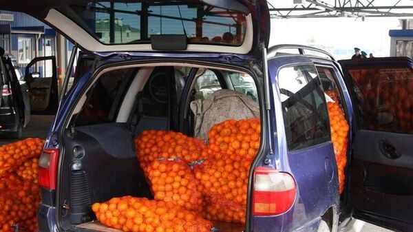 Шәачатәи аҳазалхыҩцәа Аԥснынтәи 500 кьыла рҟынӡа амандарина изакәанымкәан ииаргоз ааныркылеит - Sputnik Аҧсны