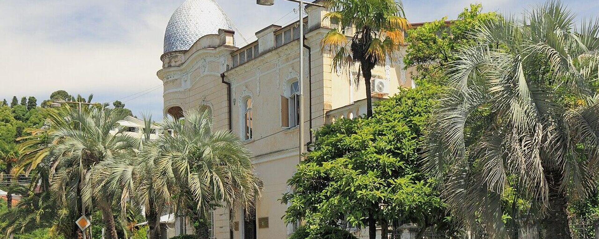 Абхазский институт гуманитарных исследований имени Дмитрия Гулиа - Sputnik Абхазия, 1920, 20.11.2025