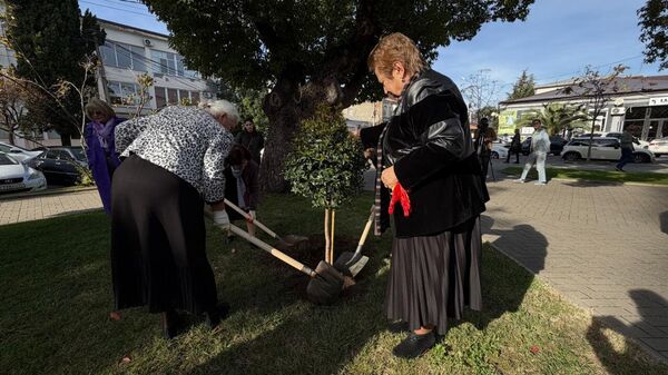 Аллею памяти пропавших без вести высадили в Парке Славы - Sputnik Аҧсны