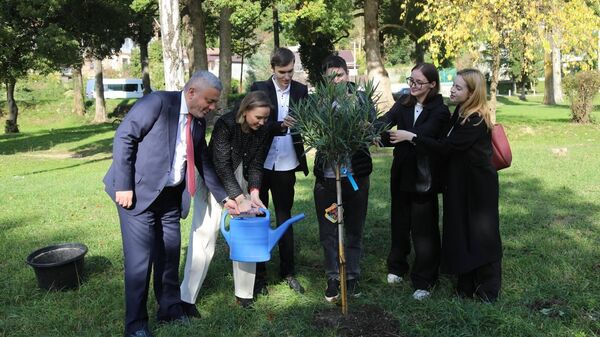 Аллею дружбы заложили в парке Курченко в Сухуме - Sputnik Абхазия