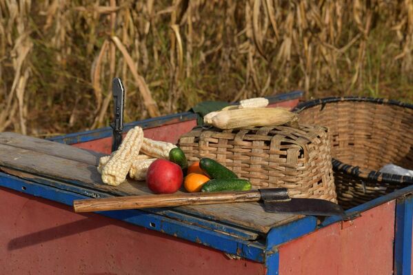 После сбора, кукурузу очищают и складывают в &quot;аца&quot; - абхазское традиционное помещение для зерна - Sputnik Абхазия