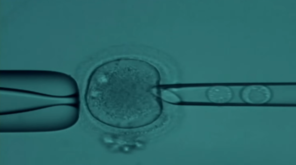 На программу бесплатного ЭКО в Абхазии выделят дополнительно 20 млн рублей - Sputnik Абхазия