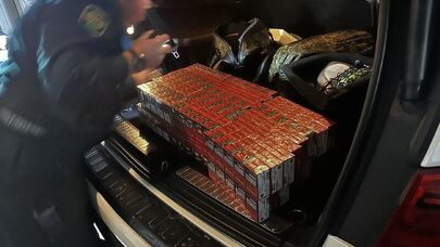 Более полутора тысяч пачек сигарет изъяли на абхазо-российской границе