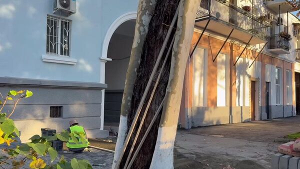 Два платана срубили на улице Воронова - Sputnik Абхазия