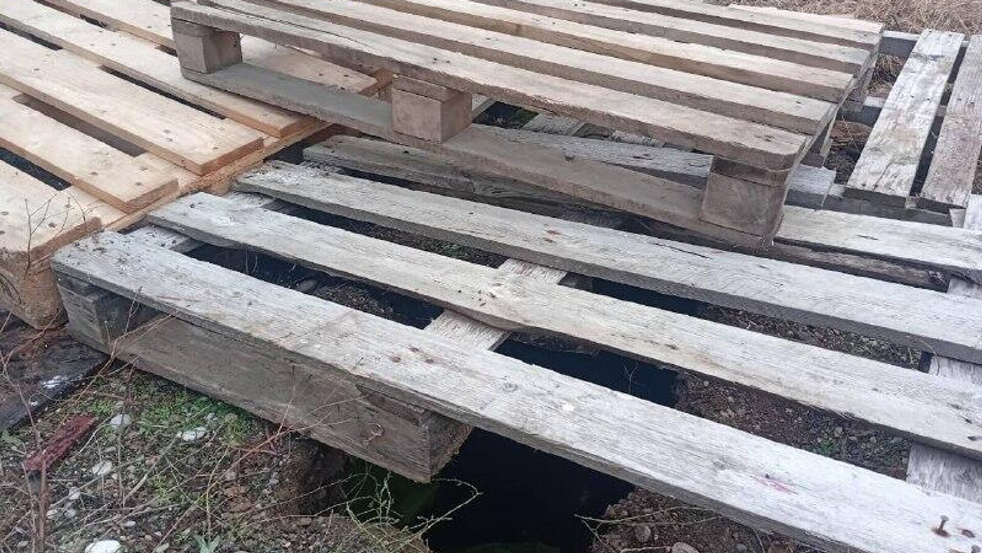 Ахәыҷы ажра дҭаҳаит Гагра ақалақь Терешкова лымҩаҿы Ахәыҷы ажра дҭаҳаит Гагра ақалақь Терешкова лымҩаҿы - Sputnik Аҧсны, 1920, 07.12.2025