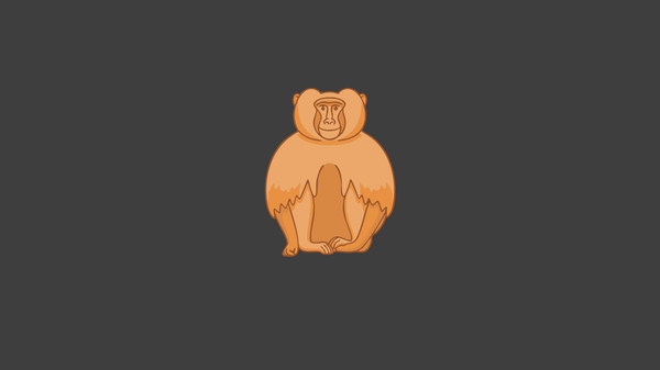 Почти 30 тысяч человек посетили Сухумский питомник обезьян за 11 месяцев 2025 года - Sputnik Абхазия