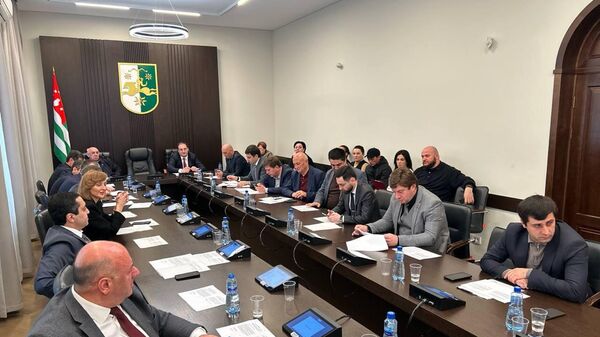 Внеочередное заседание сессии по кадастру недвижимости - Sputnik Абхазия