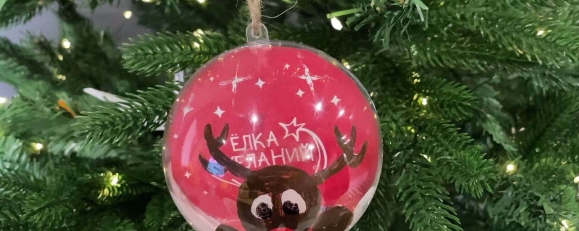 Акция Елка желаний пройдет в этом году в Абхазии - Sputnik Абхазия, 1920, 11.12.2025