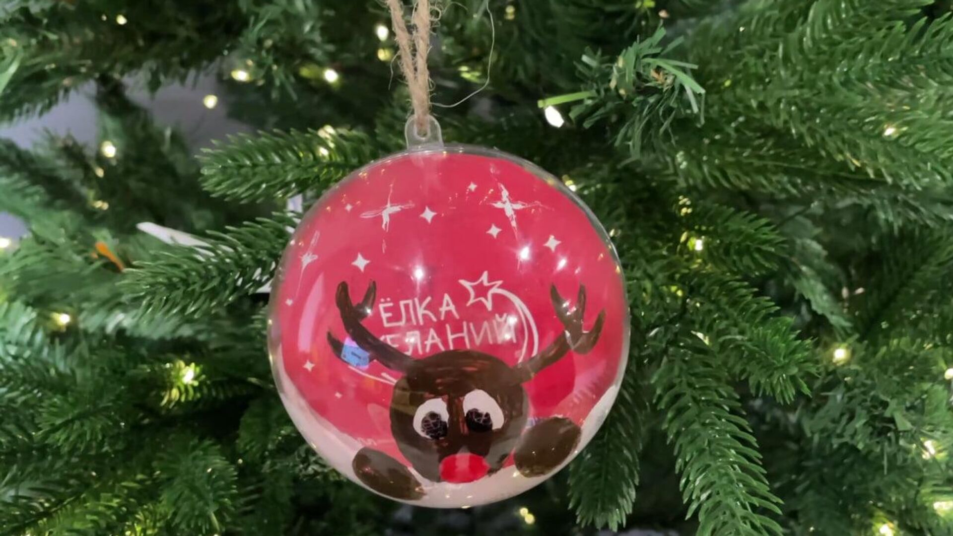 Акция Елка желаний пройдет в этом году в Абхазии Акция Елка желаний пройдет в этом году в Абхазии - Sputnik Абхазия, 1920, 11.12.2025